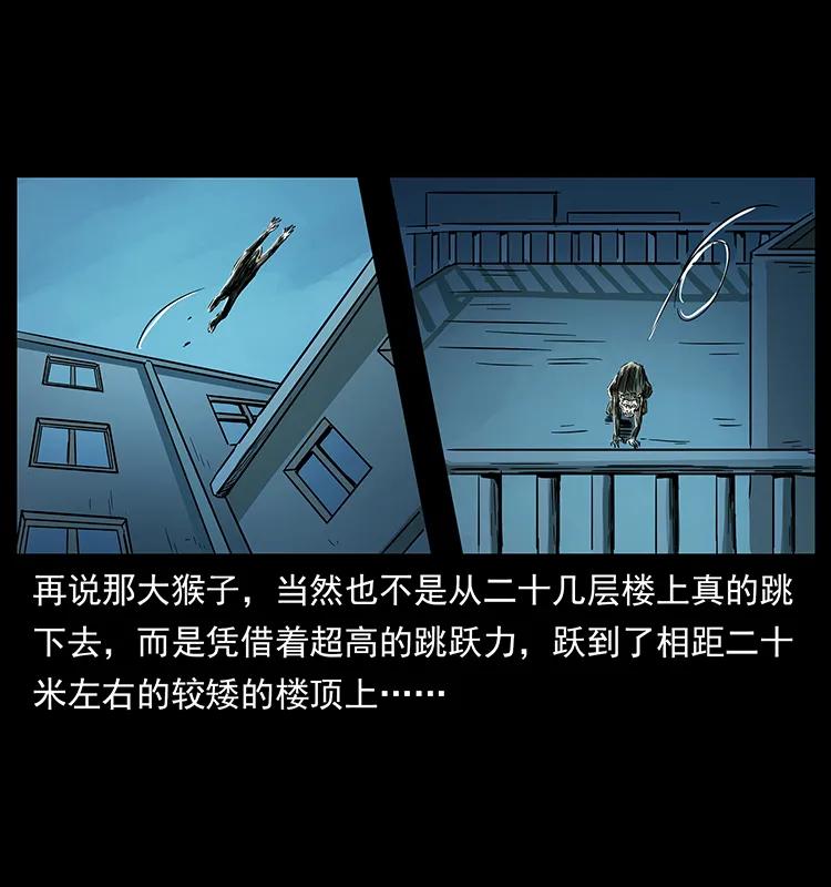 228 凶兽87