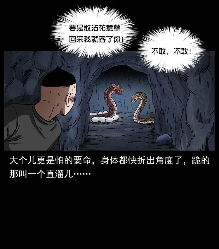 335 出山29