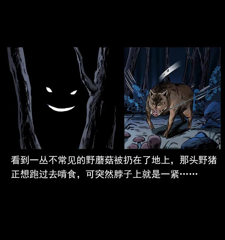 263 恐怖杀人峰47