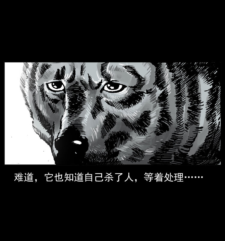 048 刨尸狗传奇161