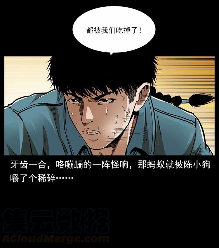 317 大漠凶兽44