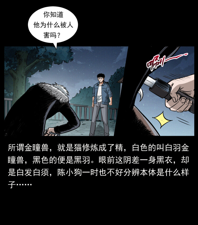 416 七爷的信徒43