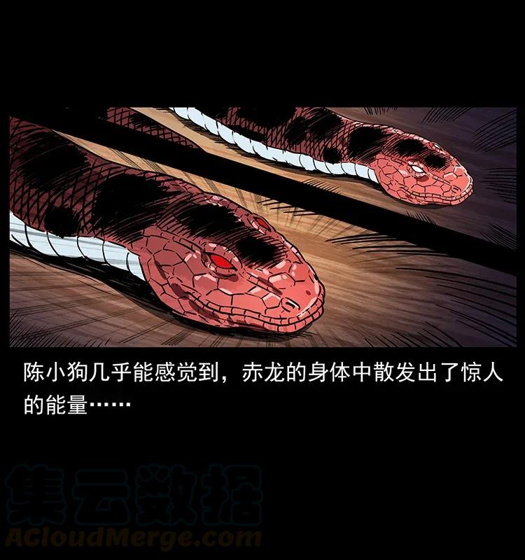 291 大神命阵84