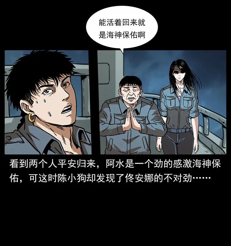 242 陈小狗失算了85