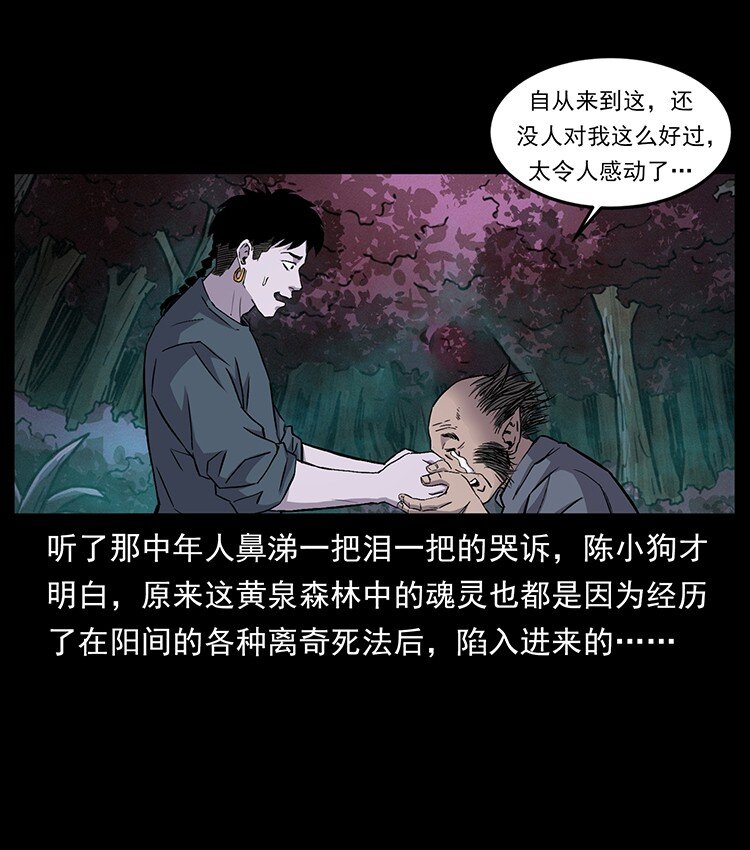 490 黑暗森林37
