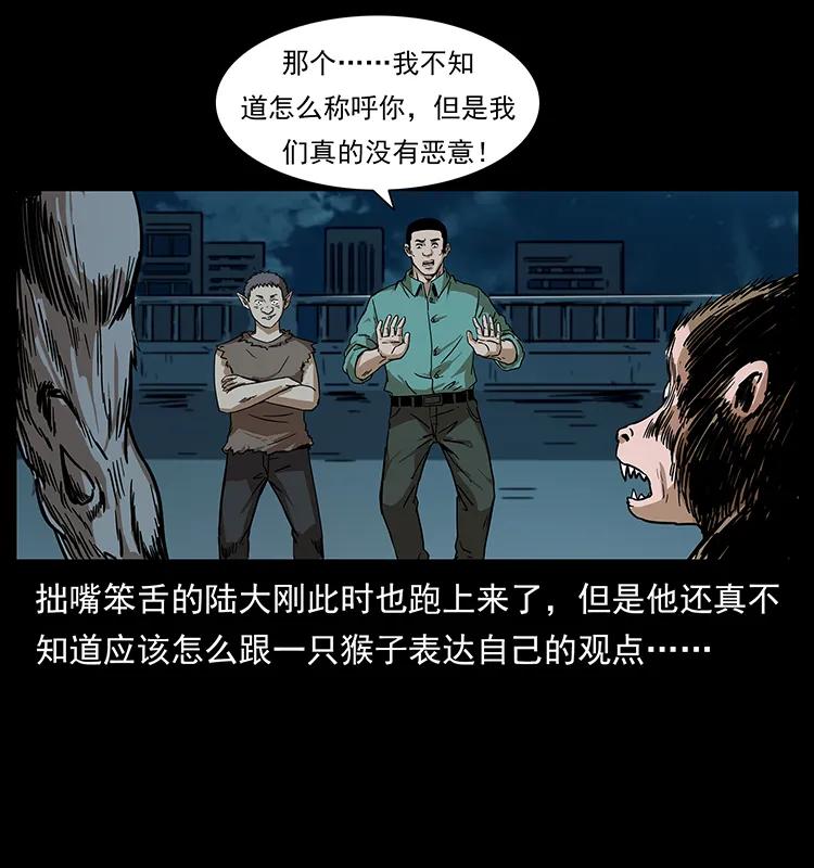 229 东海龙骨7