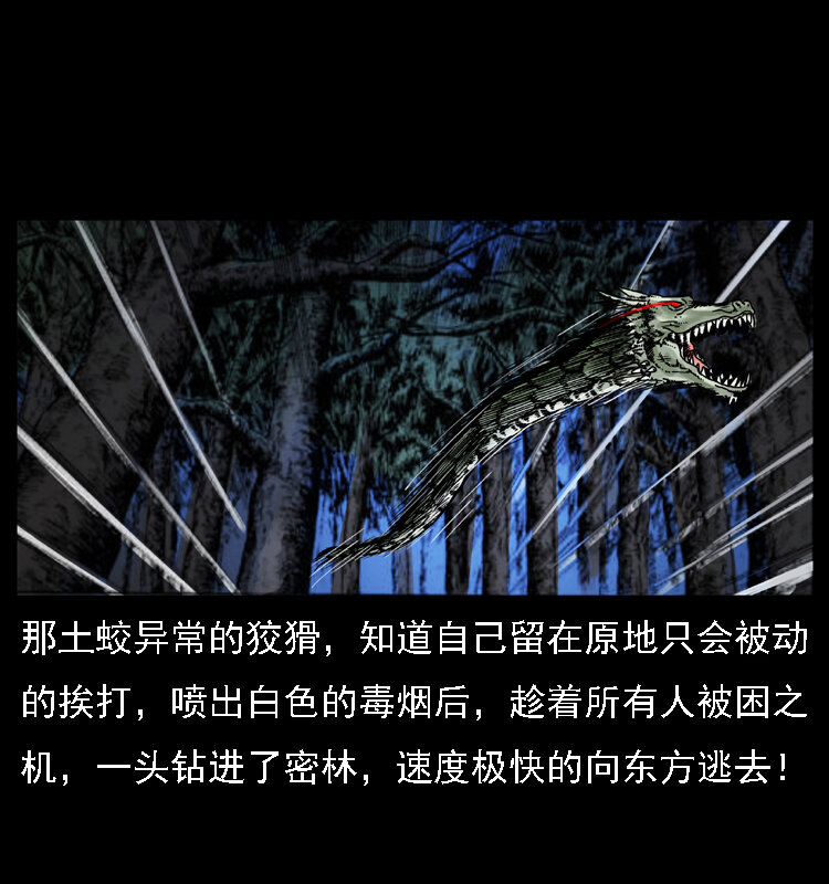 030 斗土蛟28