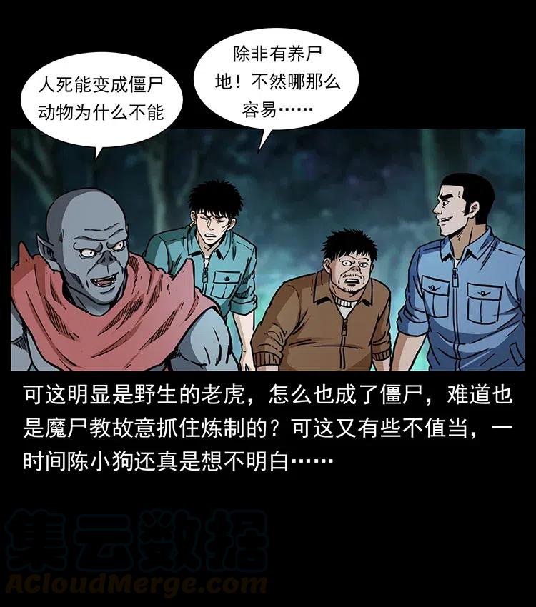 342 白毛僵尸56