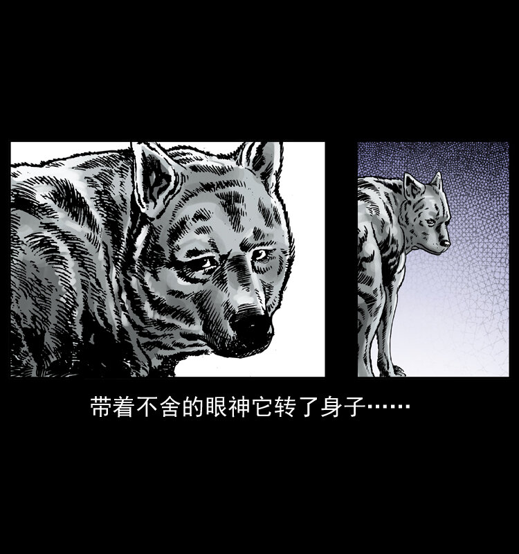 048 刨尸狗传奇169
