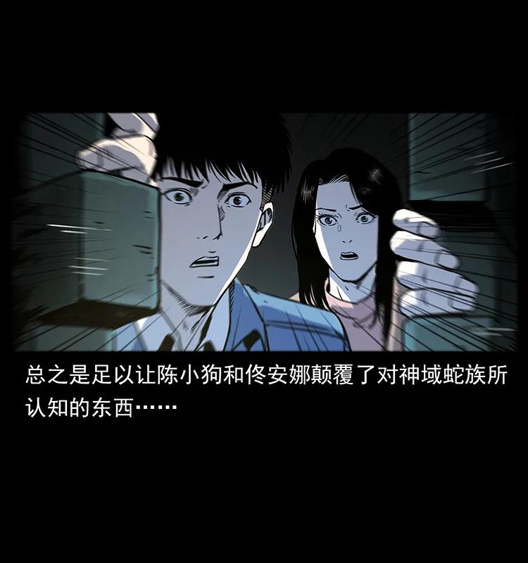 262 藏地神族29