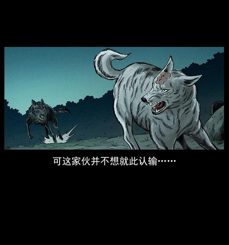 344 刨尸狗&amp;amp;amp;大冥皇18