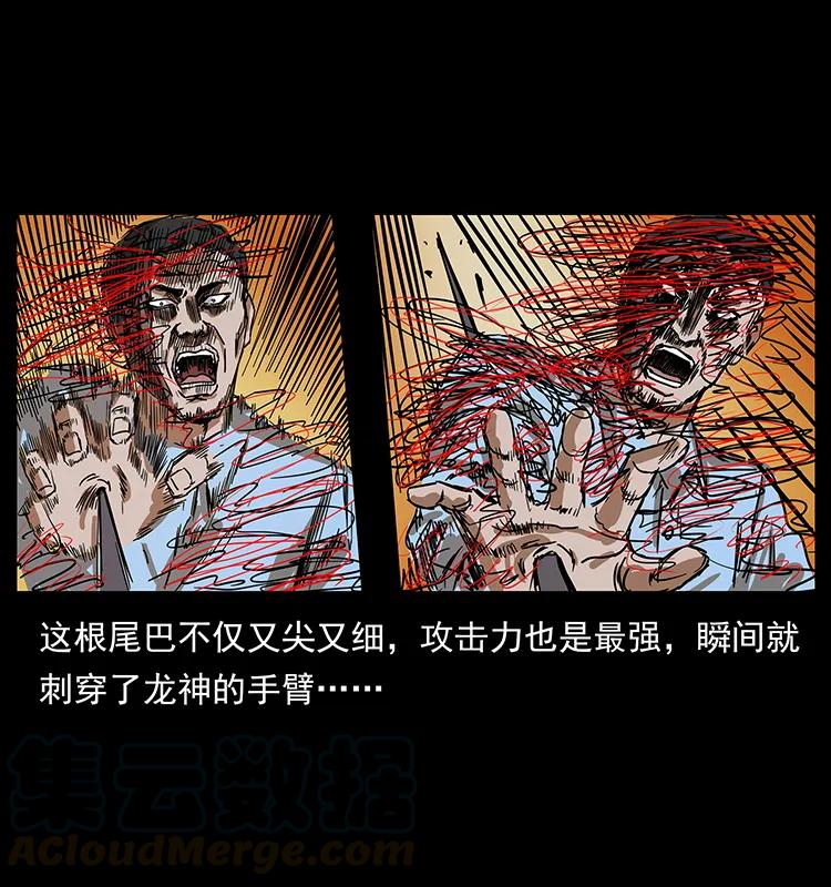199 黑狐不好惹48