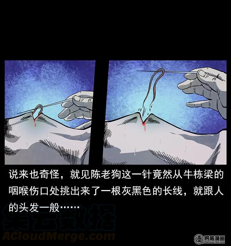119 殃64