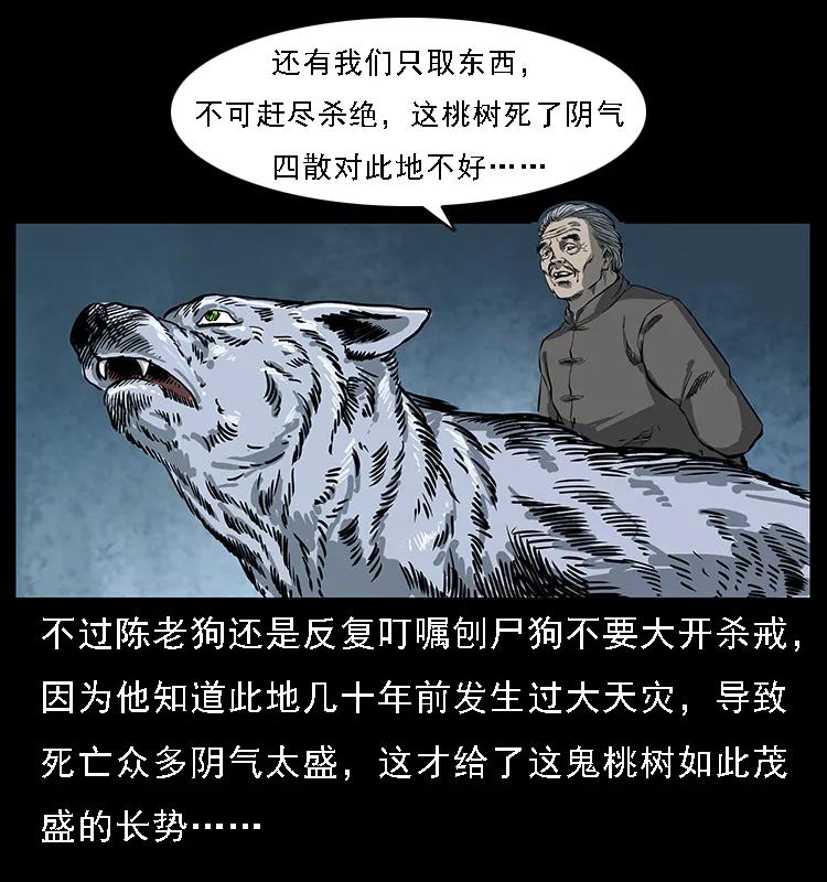 082 鬼桃树62