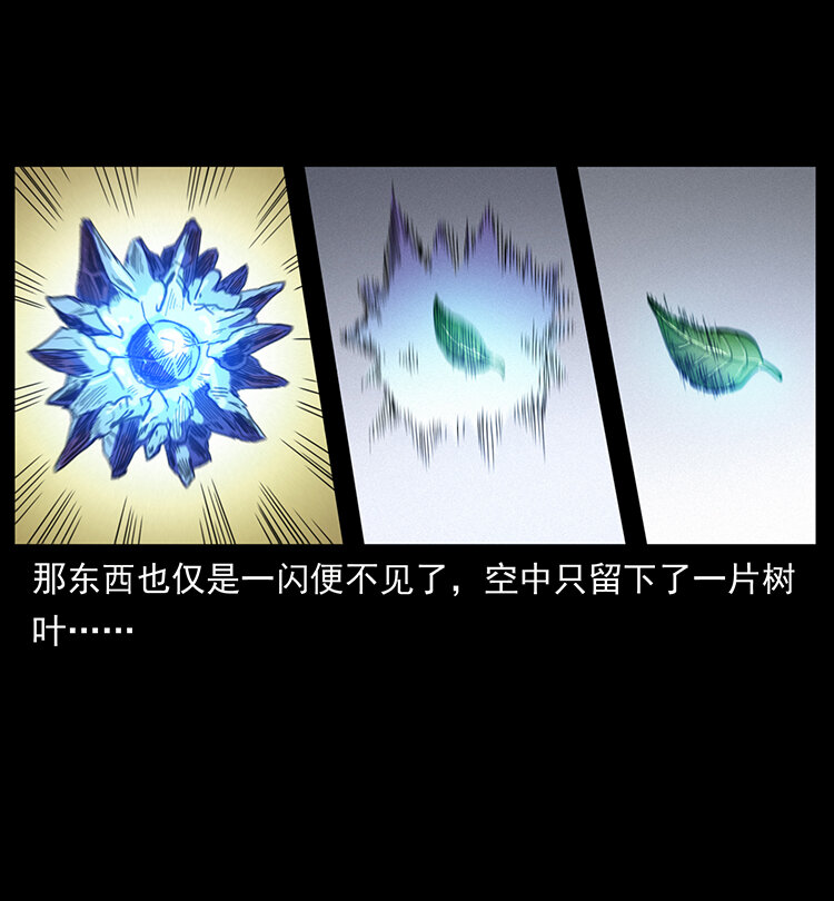 400 一花一世界，一叶一菩提75