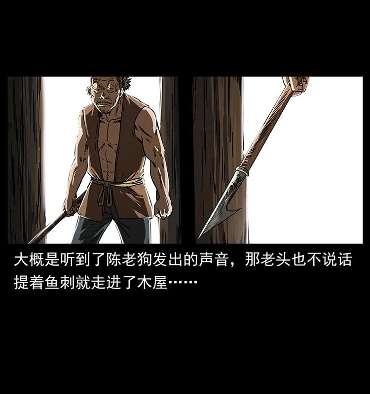 231 东海木龙53