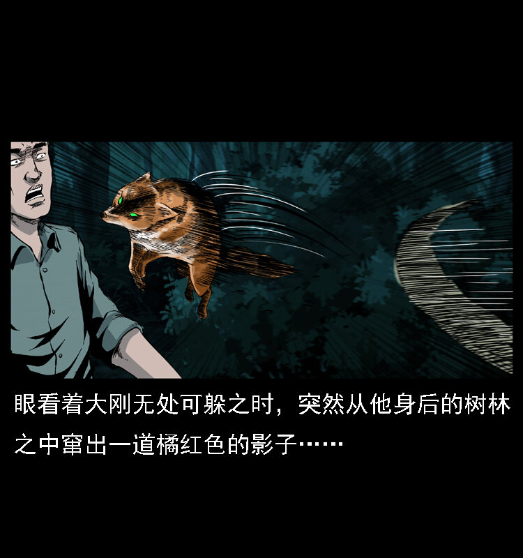 029 斗土蛟36