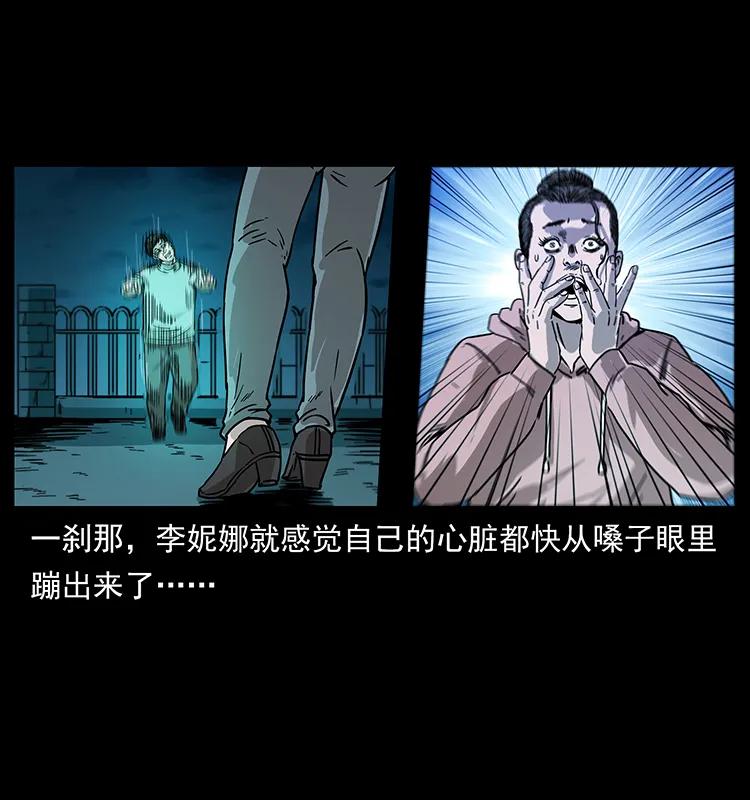 230 生桩41