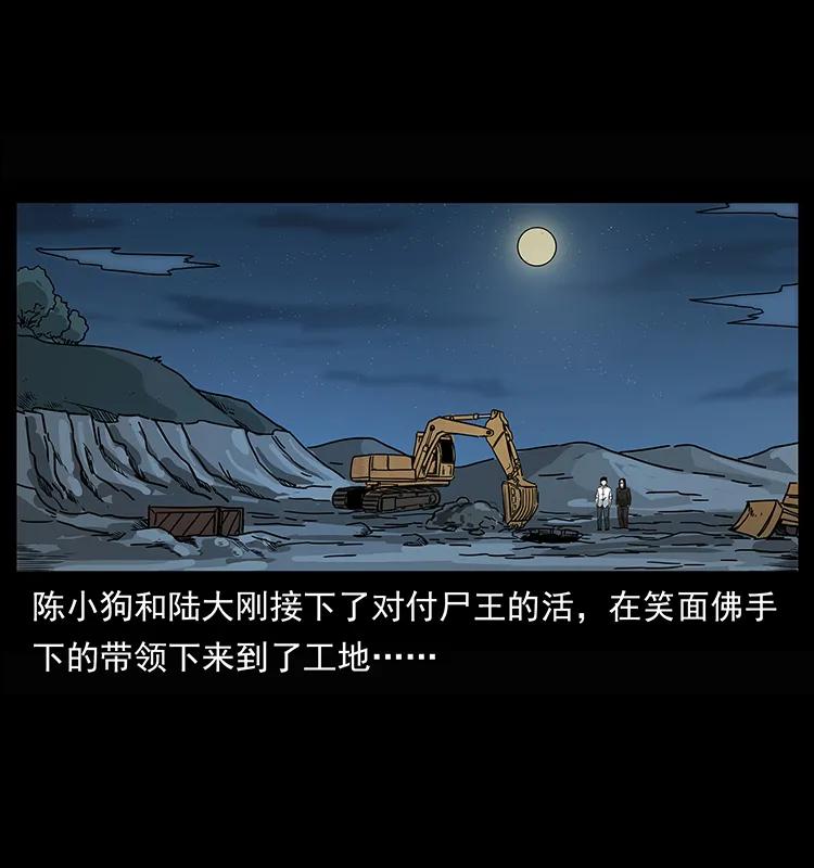 208 哪来的尸王1