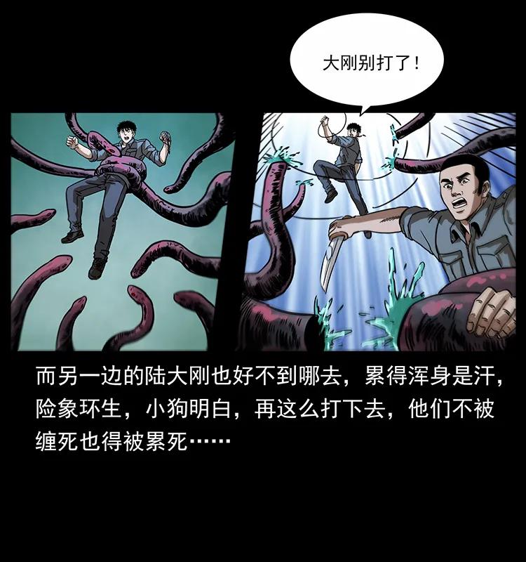 242 陈小狗失算了31
