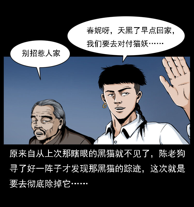 003 赵家的猫3