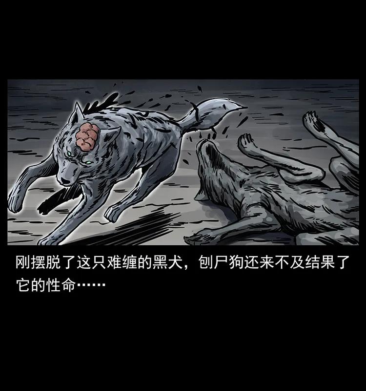 252 危机！危机7