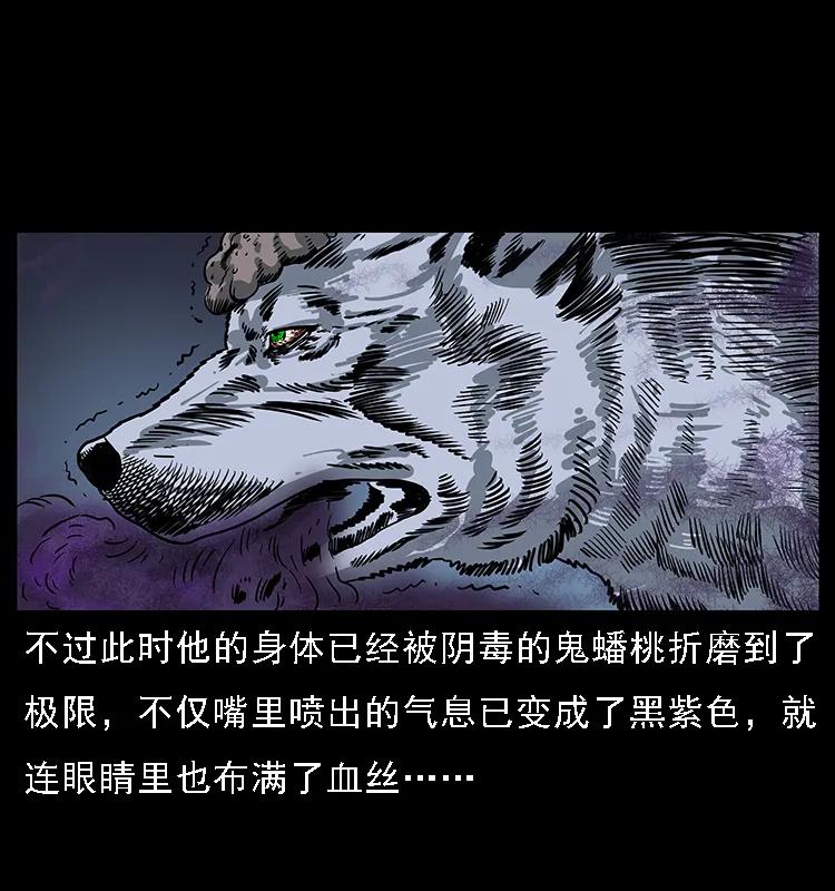 084 刨尸狗的妖化之路42