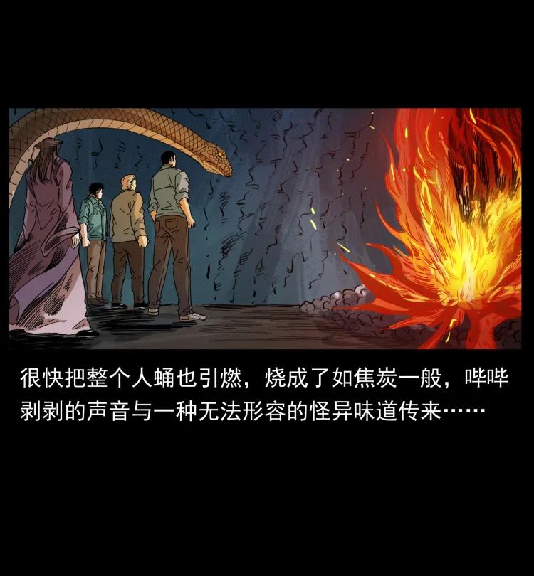 399 人之蛹76
