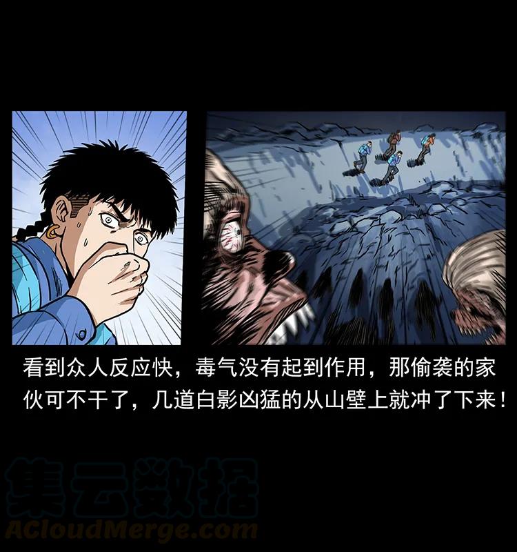 274 神族的计划48