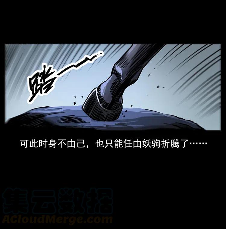 370 乌翅凤凰15