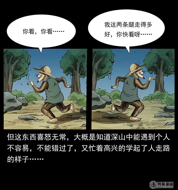 141 进山37