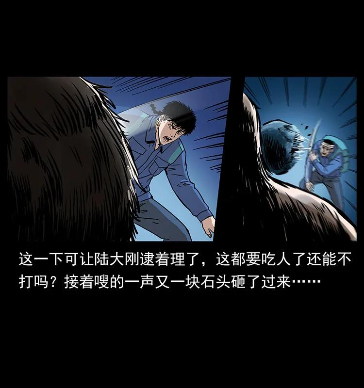 268 昆仑精灵22
