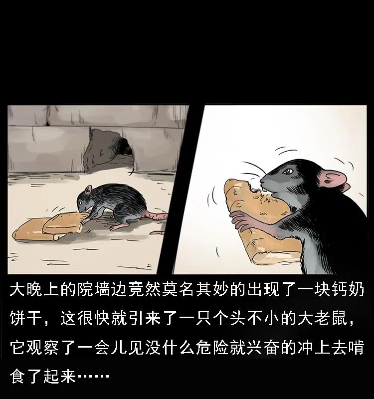 082 鬼桃树2