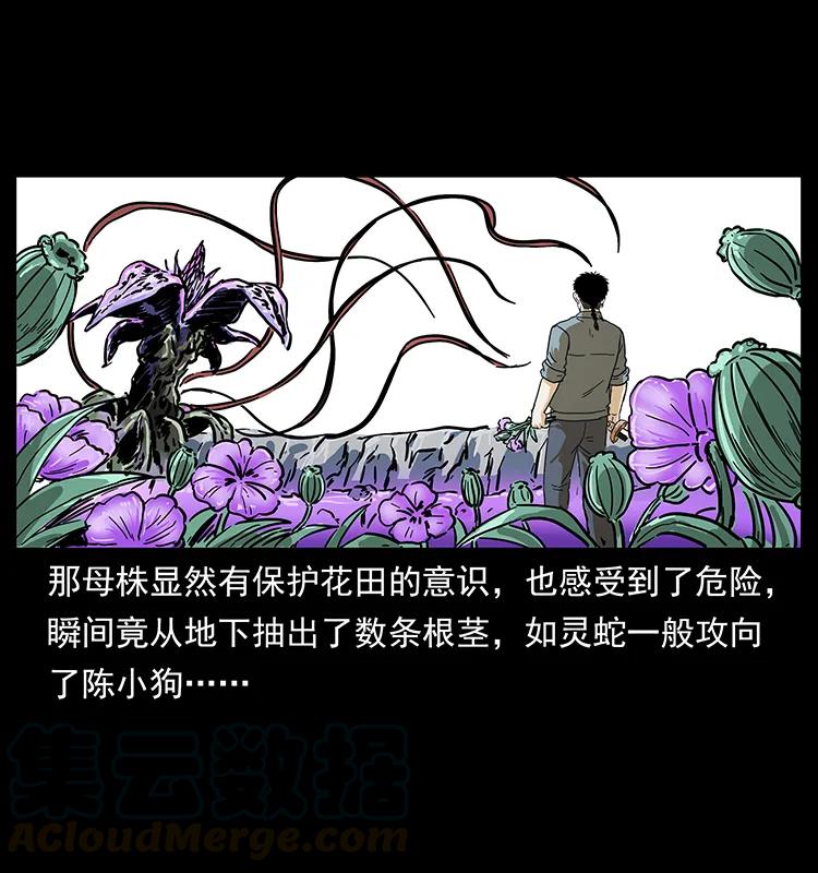 236 神秘的小岛64
