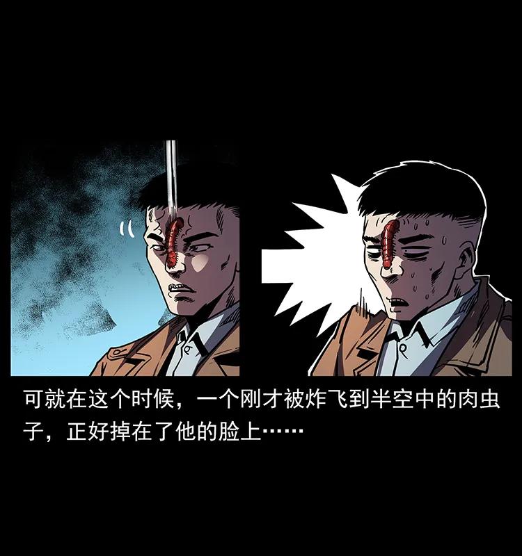 161 虫佛67