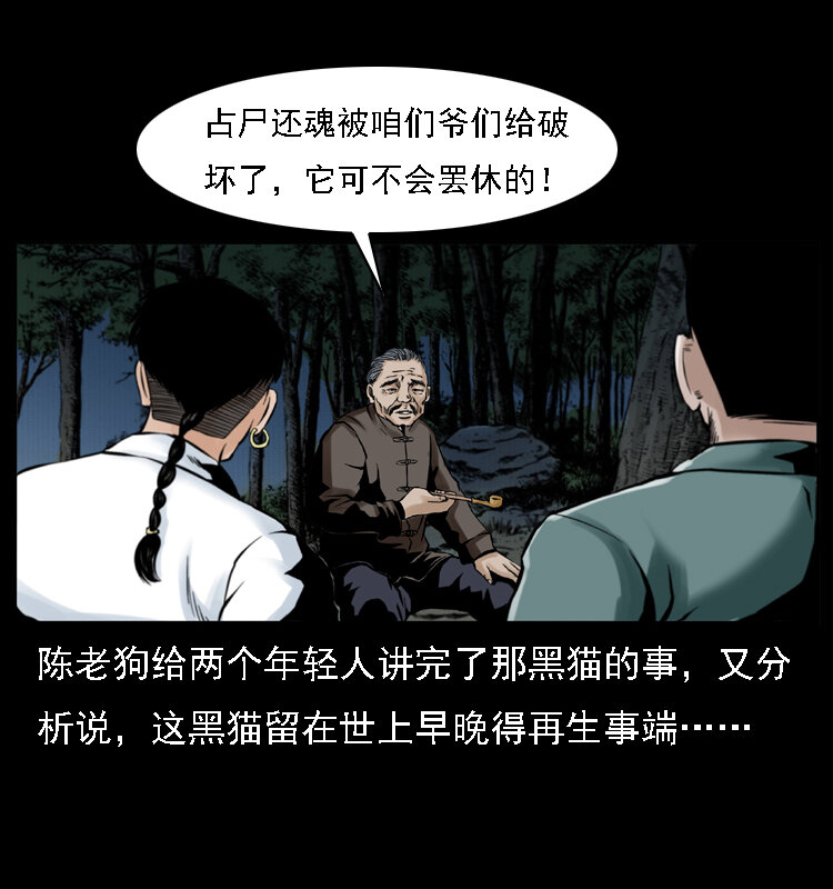 003 赵家的猫68