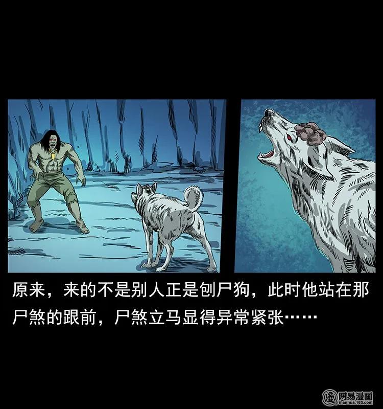 118 天宝仙牌39
