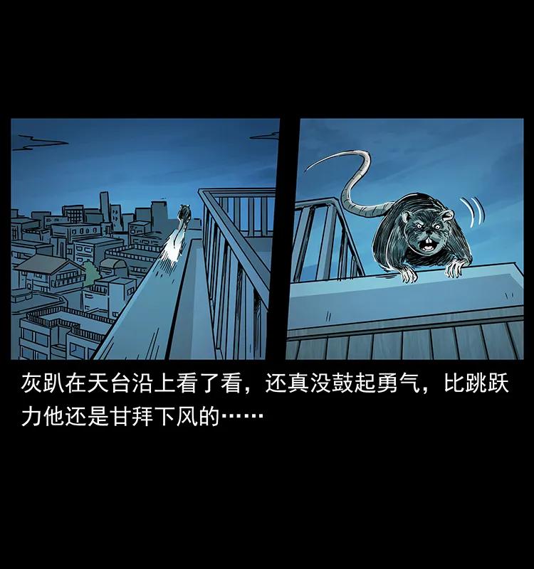 228 凶兽86