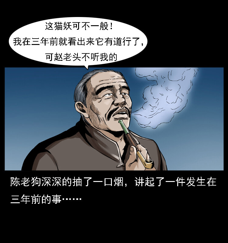 003 赵家的猫19