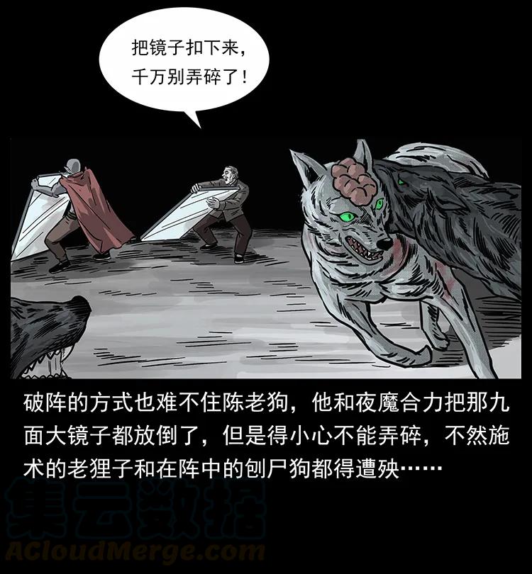 252 危机！危机48