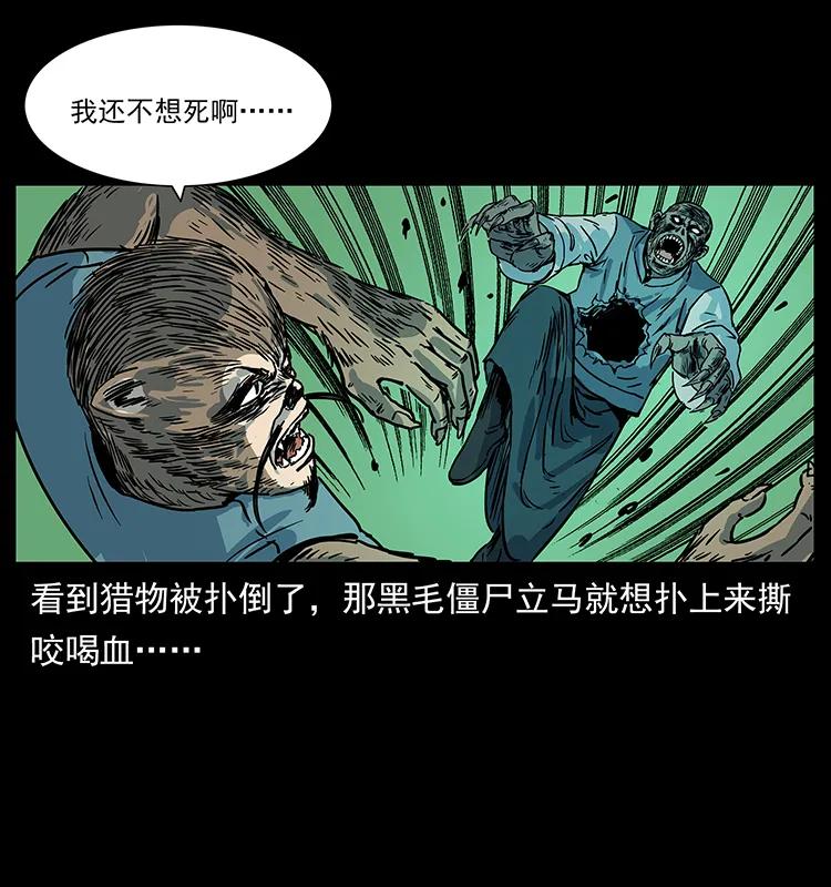 227 猴脑5