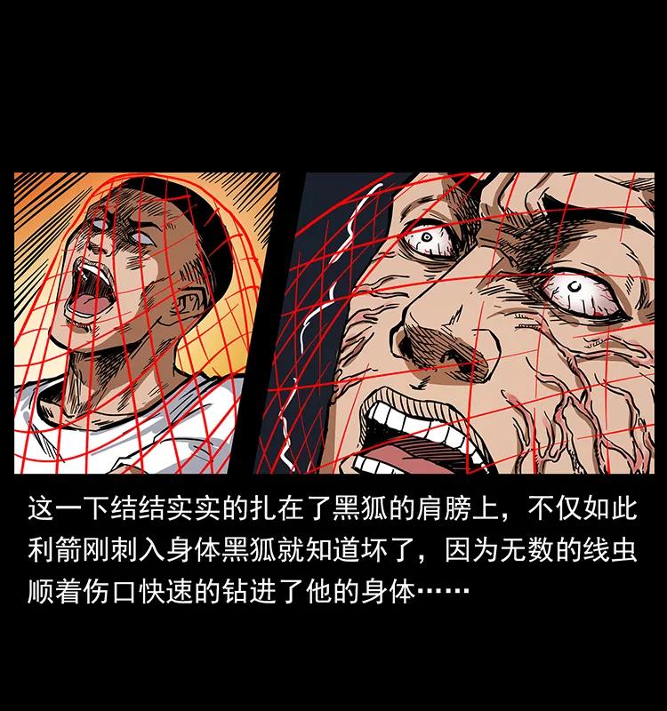 199 黑狐不好惹31
