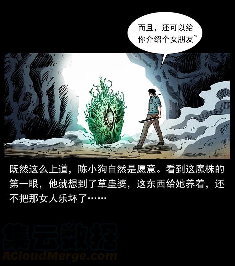390 斩草除根81