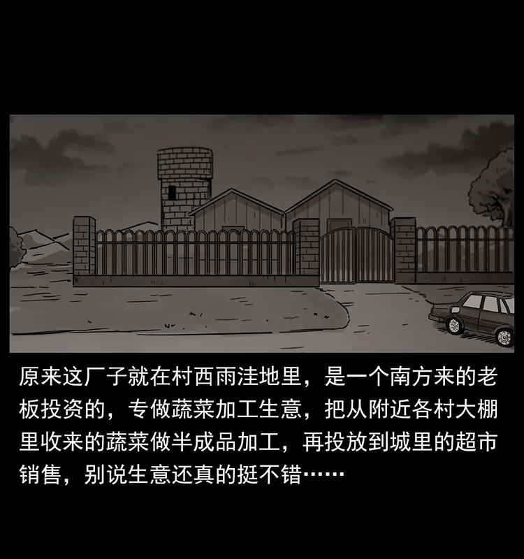 230 生桩17