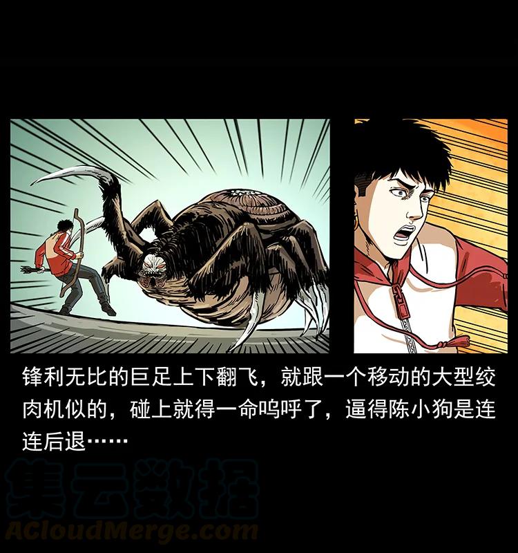 218 阴山极柱24