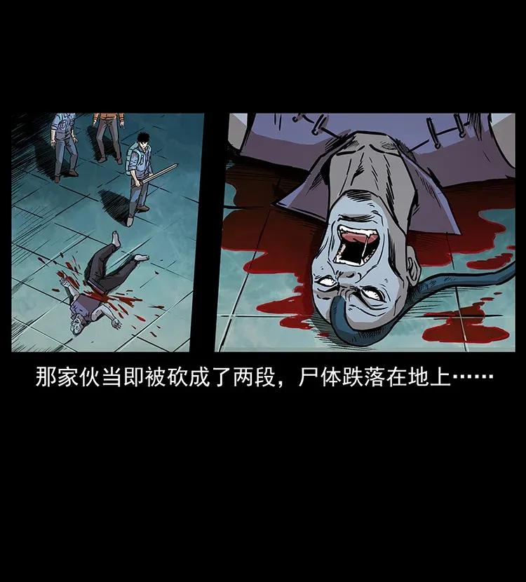 290 神王？49