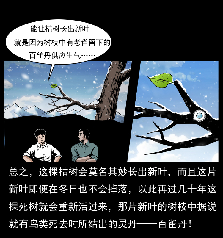 036 百雀丹（上）11