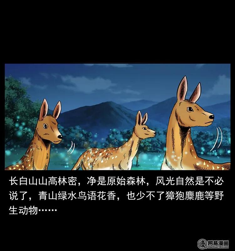 141 进山66