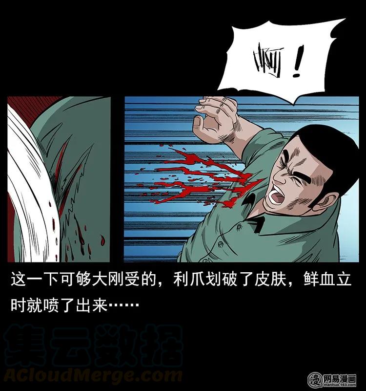 118 天宝仙牌16