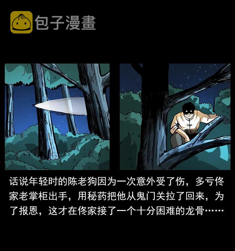 163 陈老狗下南疆2